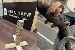 春天種下希望、親子共學食農～宜蘭推出泰雅椴木香菇居家體驗組