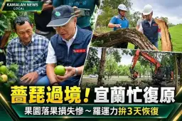 薔琵颱風災損浮現！果農心血遭強風吹落～羅東運動公園力拚3天復原