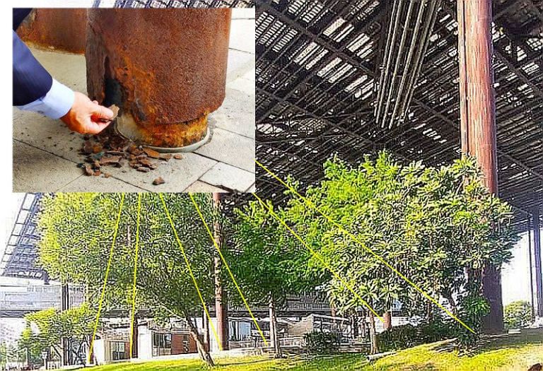 小狗尿尿．鋼柱鏽蝕．責任歸屬．網友熱議