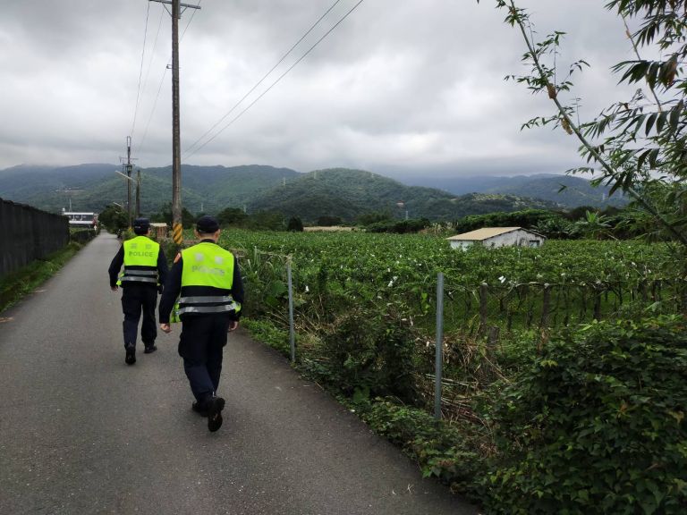 員山枕山村芭樂豐收遭宵小覬覦 警方啟動護農專案