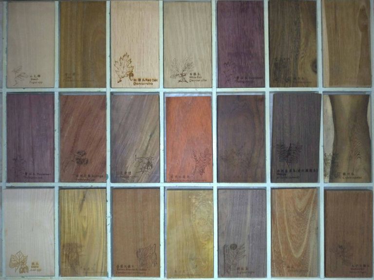 木質優劣如何辨識  羅東林管處辦商用木材鑑別研習課