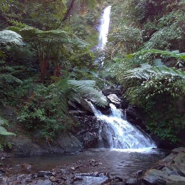 中山瀑布即將重新開園 林管處及冬山鄉公所又種花千棵