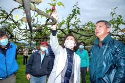 高接梨穗再受寒害 林姿妙縣長親抵三星梨園視察