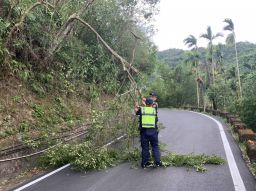 多處路樹倒塌 三星警方呼籲颱風天少外出免遭不測【影音新聞】