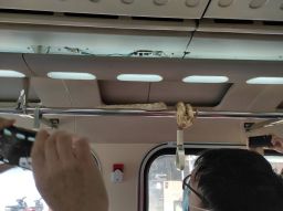 火車上有蛇！1.5米長球蚺溫馴盤踞自強號行李架 疑為旅客寵物出走