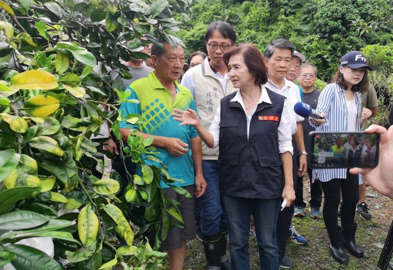 林姿妙縣長視察果樹災損．番石榴文旦中秋好禮【影音新聞】