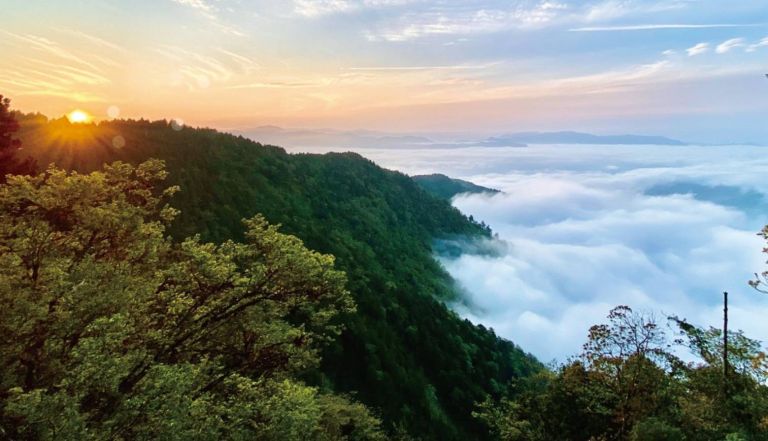迎接2024第一道曙光 太平山元旦清晨3點開園送紀念書籤