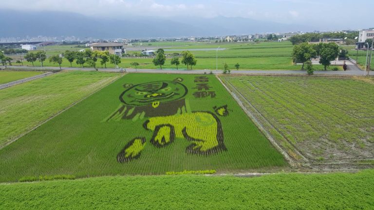 玉田「弄獅彩繪稻田」已“繪”製完成！