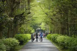 走入深溝水源探秘境．八區處倡議珍惜水資源