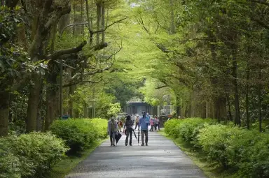 走入深溝水源探秘境．八區處倡議珍惜水資源