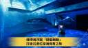 綠博海洋館「蔚藍脈動」登場～沉浸式體驗深海保育旅程