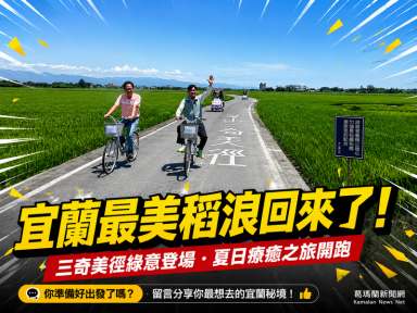 波波草遇上稻香綠浪～冬山夏季最美地景開展