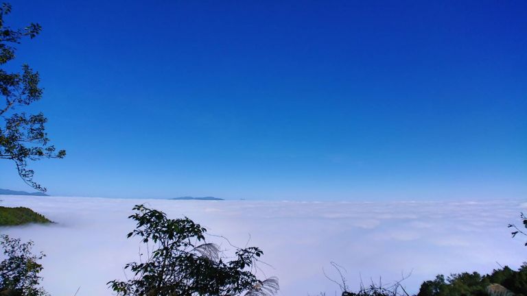 雲海、山毛櫸之美 盡在太平山【影音新聞】