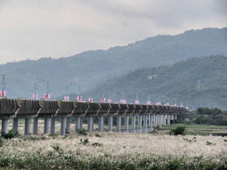 美景無處不在 蘭陽溪畔秋風搖曳舞白芒