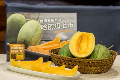 林姿妙行銷壯圍哈密瓜 端午節宅家享美味【影音新聞】